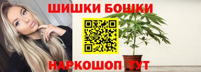 гашик Нарткала