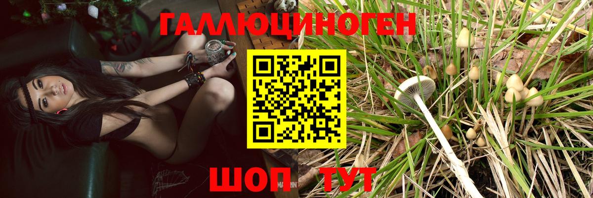 Галлюциногенные грибы Magic Shrooms Тамбов