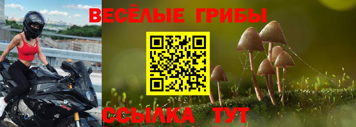 Тамбов  Галлюциногенные грибы ЛСД  Псилоцибиновые грибы мухоморы  Вход с VPN 